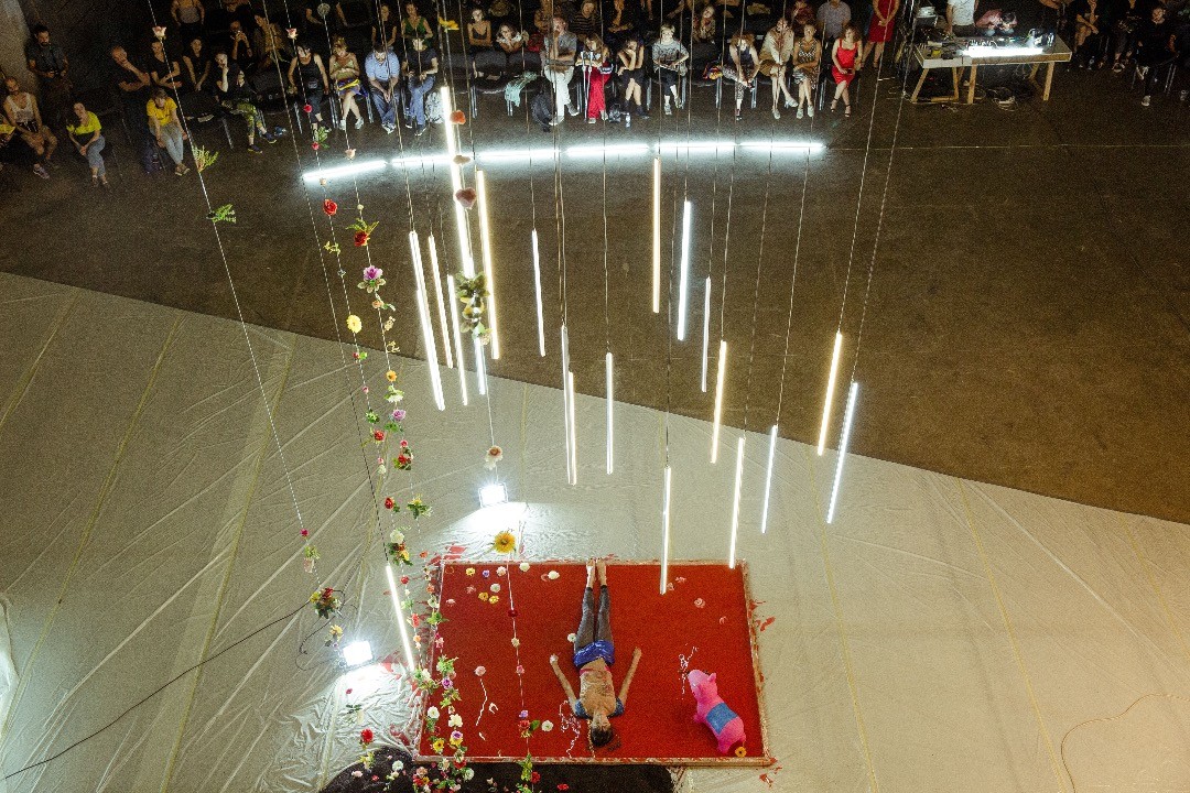 Coldblooded — installation view